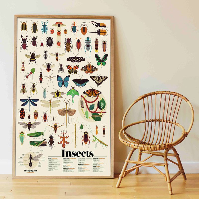 Poppik Naljepnice za izradu postera Insekti