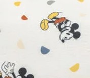 Mickey Celebration
