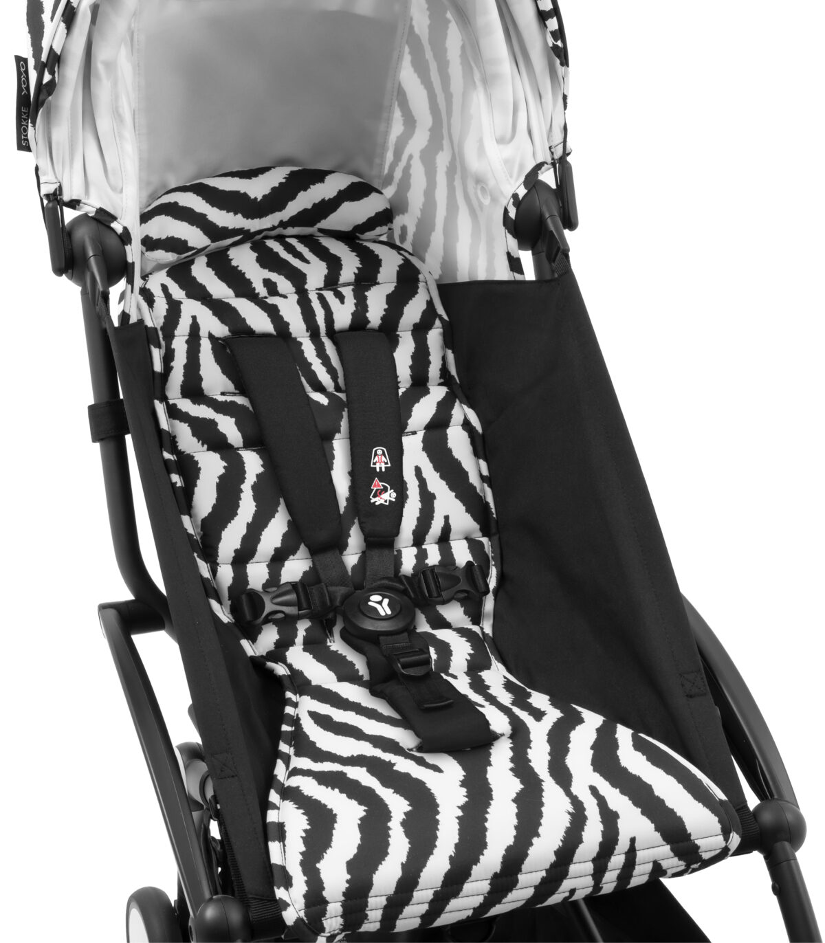YOYO®6+ Color Pack Wild kolekcija Zebra