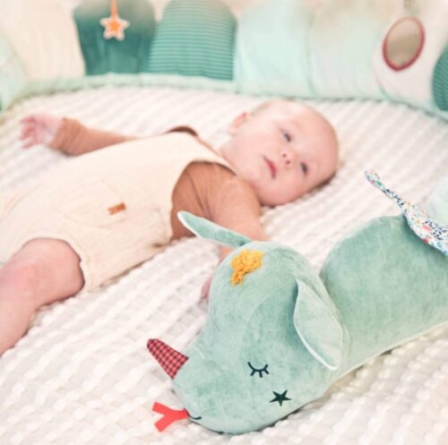 Lilliputiens aktivna gusjenica Joe