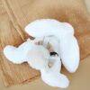 Doudou Happy Wild zec sa pomponom 25cm
