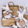 Doudou Happy Wild zeko 25cm