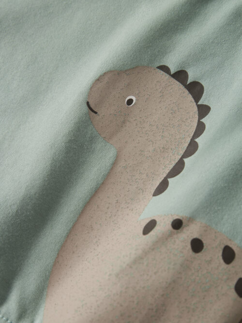 F_13246564_M_4823630_Front-Full NAME IT Majica dugih rukava Dino Zelena