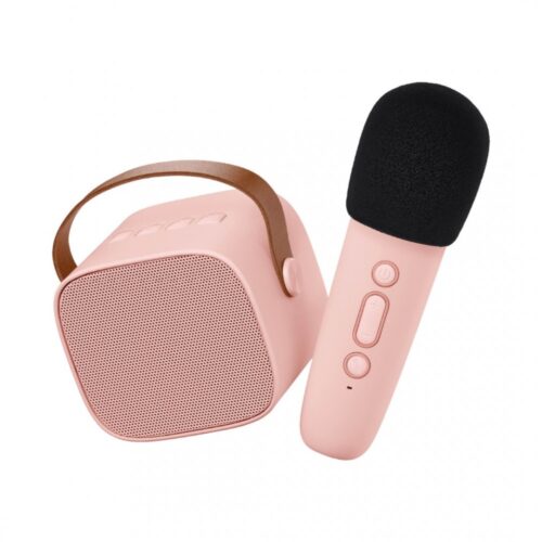 Lalarma karaoke set rozi
