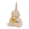Little Dutch aktivni zec Newborn Naturals