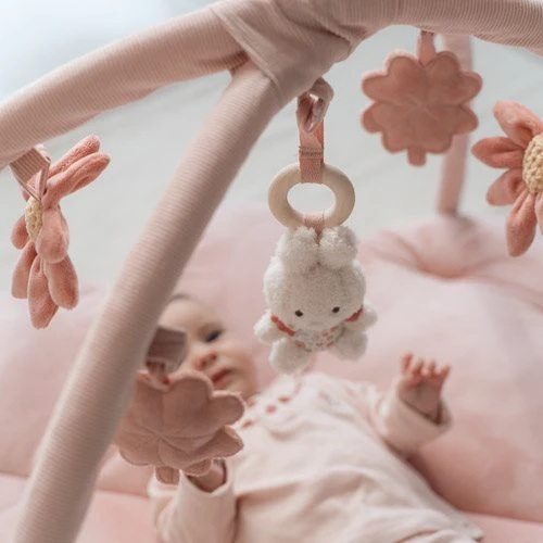 Little Dutch Baby gym Pink Miffy