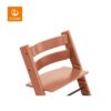 Stokke Tripp Trapp stolica Terracotta