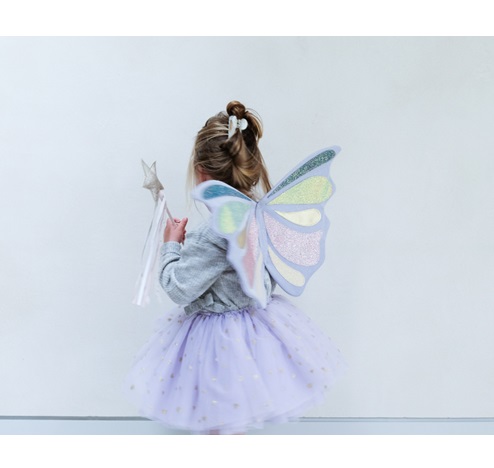 Vilinska-krila-Mali-princ-1 Vilinska krila - Mali princ