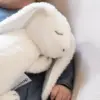Doomoo Snoogy termofor sa lavandom-Bunny Milky