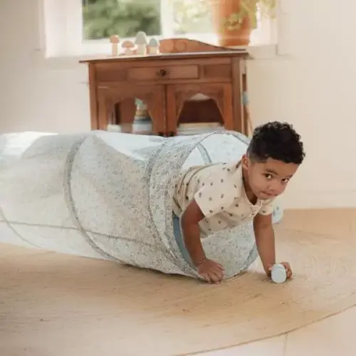 Little Dutch tunel Forest Friends