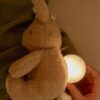 Little Dutch noćna lampa Light &Sound Zeko