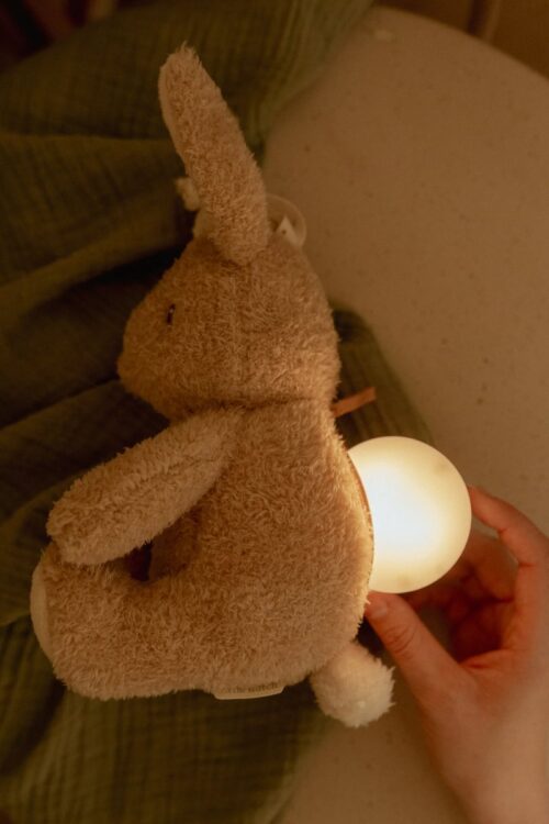 Little Dutch noćna lampa Light &Sound Zeko