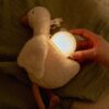 Little Dutch noćno svjetlo Light & Sound Little Goose