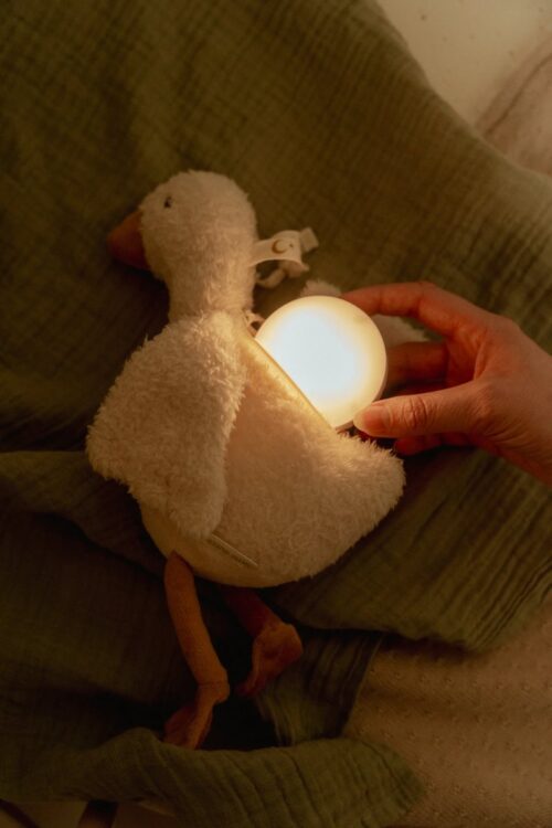 Little Dutch noćno svjetlo Light & Sound Little Goose