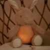 Little Dutch noćna lampa Light &Sound Zeko