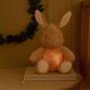 Little Dutch noćna lampa Light &Sound Zeko