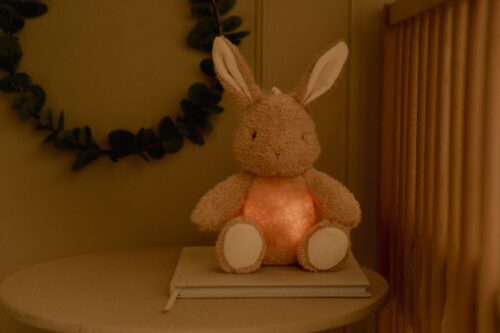 Little Dutch noćna lampa Light &Sound Zeko