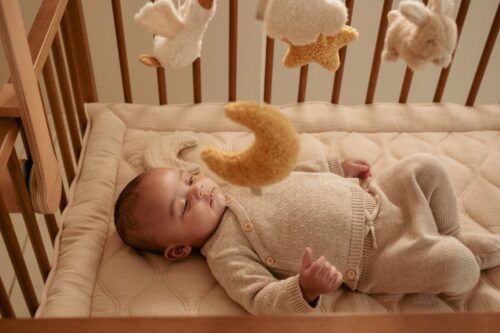 little dutch glazbeni vrtuljak