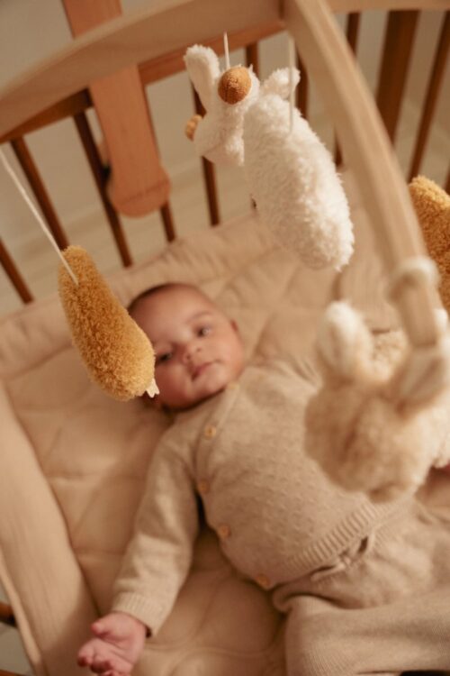 little dutch glazbeni vrtuljak