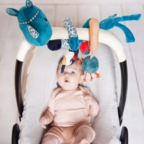 Lilliputiens Marius aktivna spirala