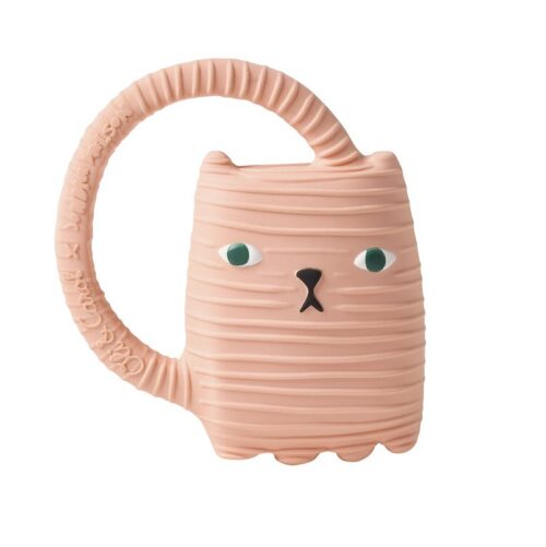 macka Oli&Carol ginge cat