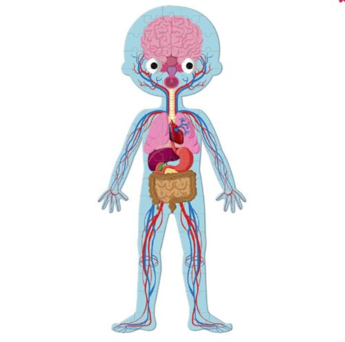 Janod edukativne puzzle ljudsko tijelo