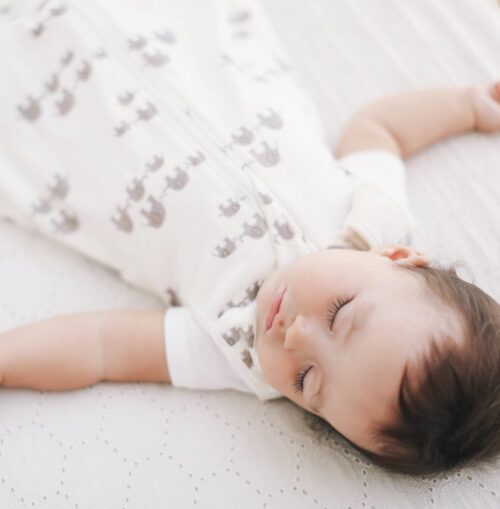 Ergobaby Vreća za spavanje Slonići, 0.5 TOG, 0-6mj