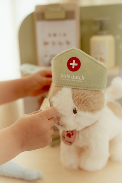 little dutch veterinsrka ordinacija little dutch veterinsrka ordinacija