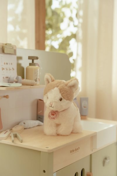 little dutch veterinsrka ordinacija little dutch veterinsrka ordinacija