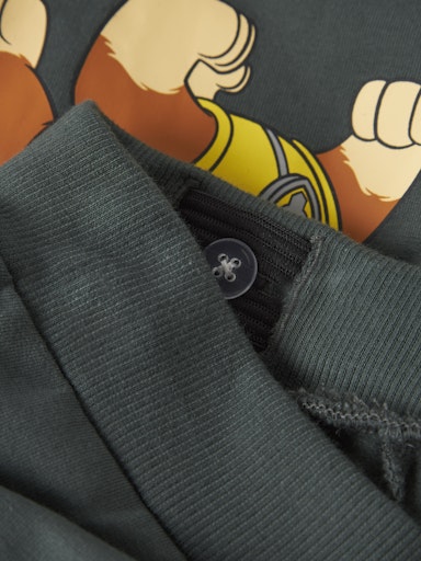 name it paw patrol green