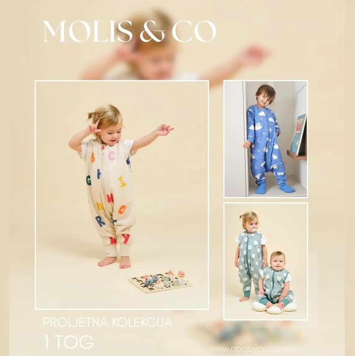 molis and co spring