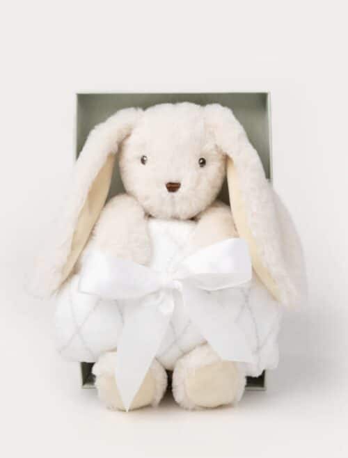 teddy kompaniet