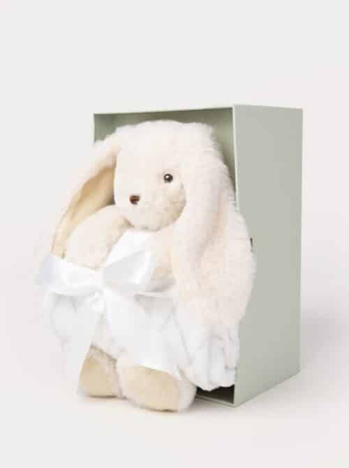 teddy kompaniet