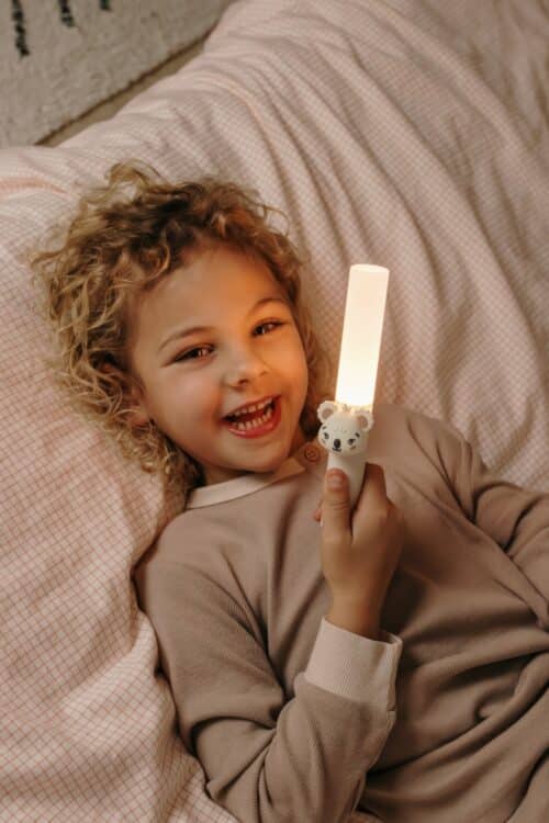 The Zoofamily Lampa Koala The Zoofamily Lampa Koala
