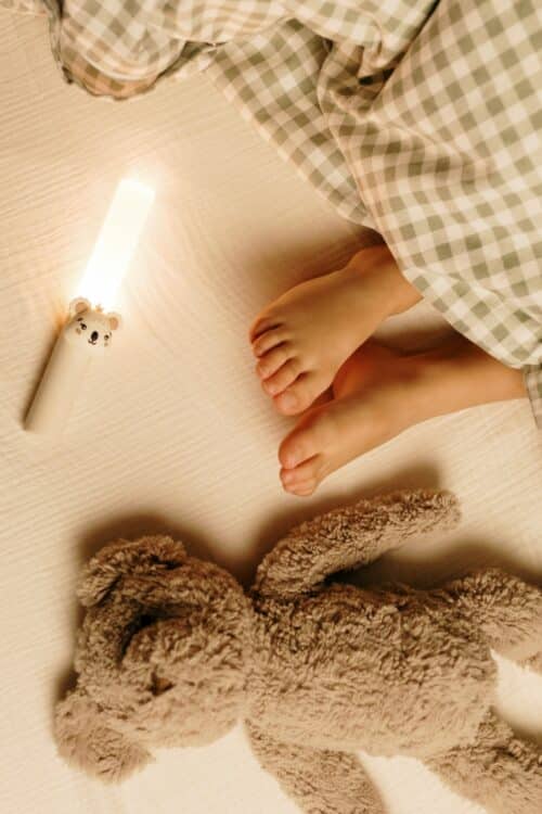 The Zoofamily Lampa Koala The Zoofamily Lampa Koala