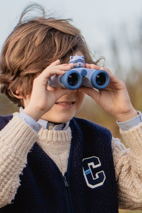 The Zoofamily Eyes dalekozor Rakun