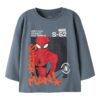 name it Spiderman