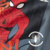 name it Spiderman