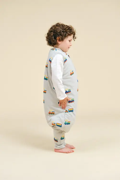 Molis & co vreća za spavanje 4 god (2.5TOG) Molis & co vreća za spavanje 4 god (2.5TOG)