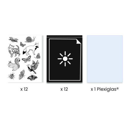 Djeco Cyanotype Starter Kit Kreativni set za djecu