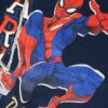 name it spider man name it spider man